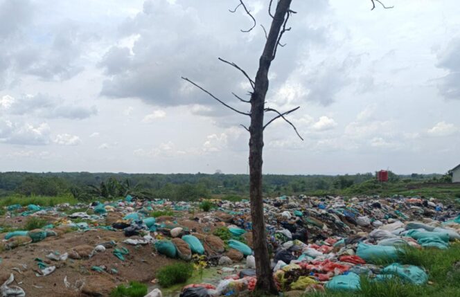 
					Warga Desa Keluhkan Limbah Bau Tak Sedap Kandang Ayam di Bandungrejo Ngasem Bojonegoro