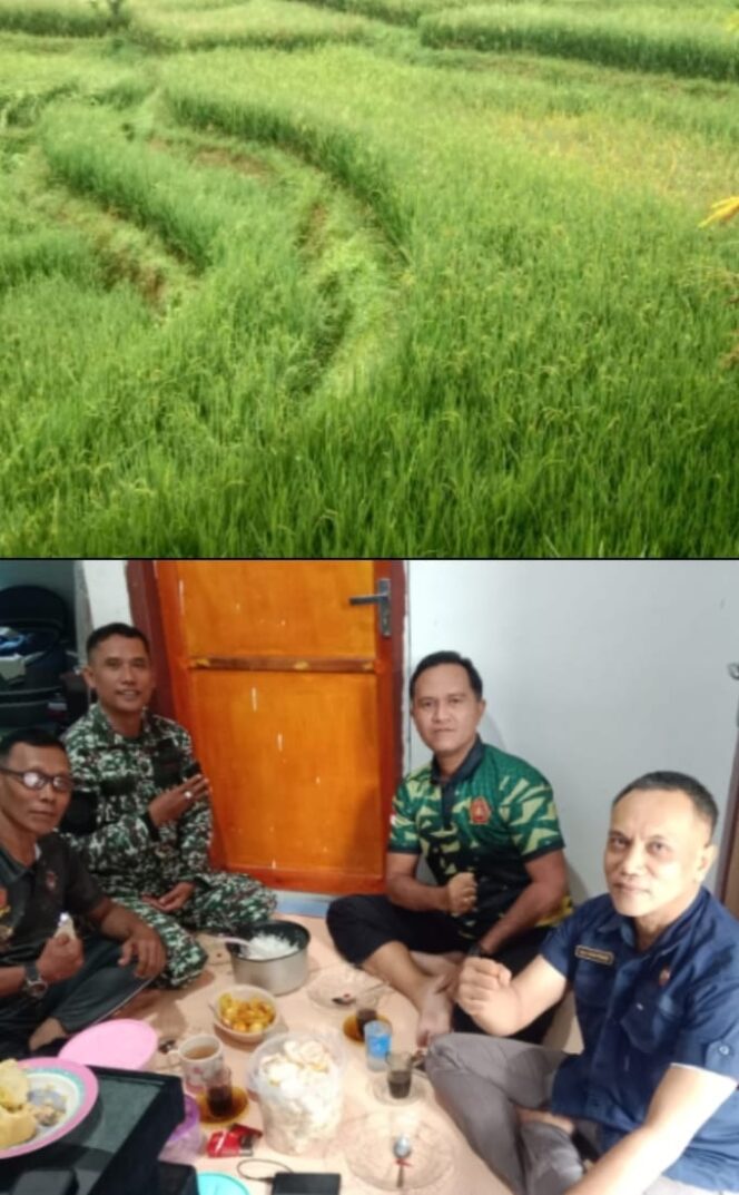 
					FKBN Mengunjungi Pengelolaan Ketahanan Pangan Organik Hortikultura