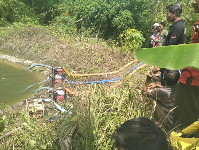 
					Bocah 8 Tahun Tewas Tenggelam di Embung Kedungpring, Polisi dan Warga Lakukan Evakuasi
