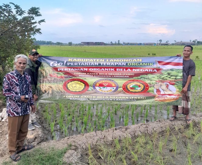 
					Lahan Bekas Pupuk Kimia Berubah, Agen Organik Bela Negara Tunjukkan Hasil Nyata.