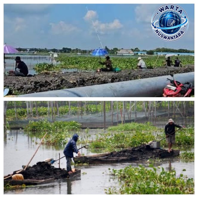 
					Rawa Semando Kian Menyempit Akibat Tambak, Terncaman Banjir dan Kekeringan