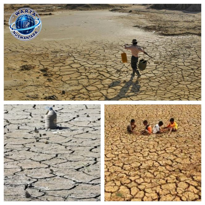 
					BRIN Waspadai El Nino “Godzilla”, Kemarau 2026 Diprediksi Lebih Panjang dan Kering