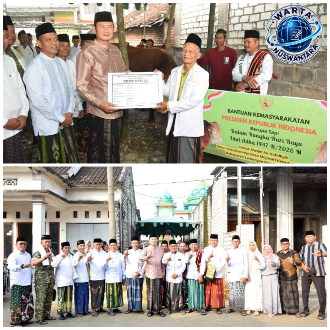 
					Sapi Kurban Presiden Disembelih di Mantup, Sapi 1,1 Ton seharga 91 Juta