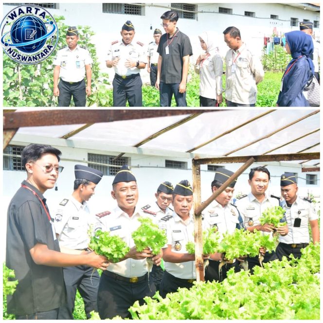 
					Warga Binaan Lapas Lamongan Hasilkan Selada Hidroponik untuk Program Makan Bergizi Gratis